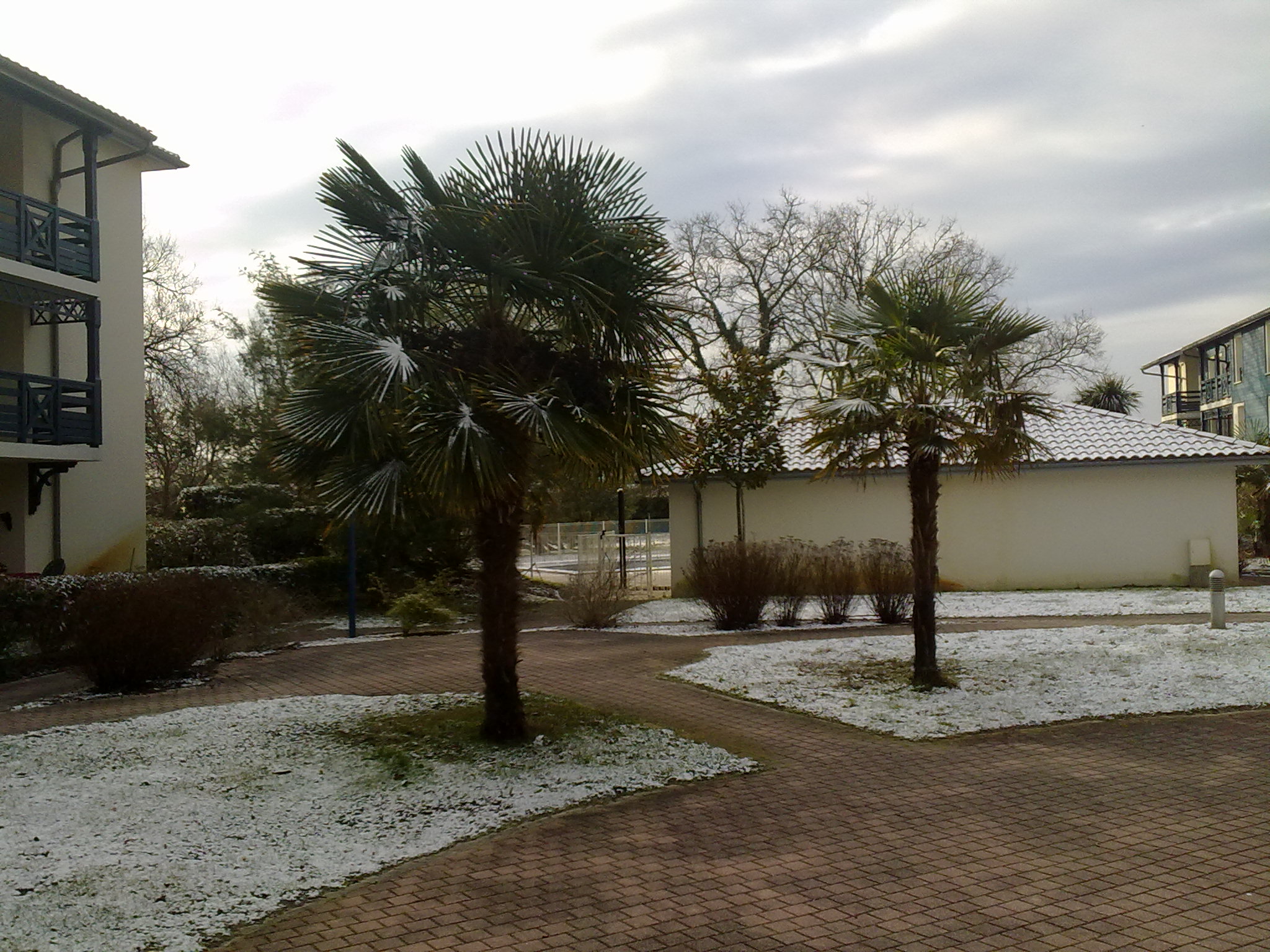 11022010138.jpg