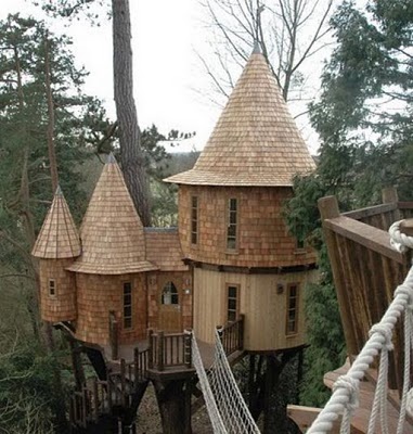 beautiful_tree_houses_10.jpg