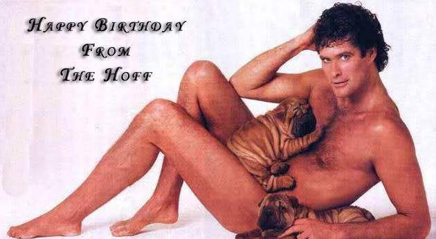 david-hasselhoff-imgcopy.jpg