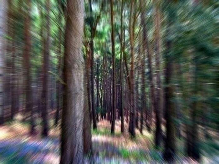 75993_396016883772953_100000939331840_1061089_319428189_n.jpg