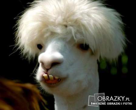 FREEZE !!!!!! OR PISS OFF!!!!!!