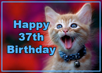kitten-bday-37th.jpg
