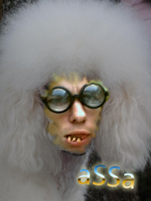 assa.png