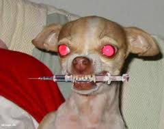 I AM GOING TO PARTY !!! woohoo