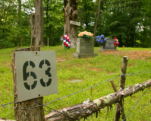 63.jpg