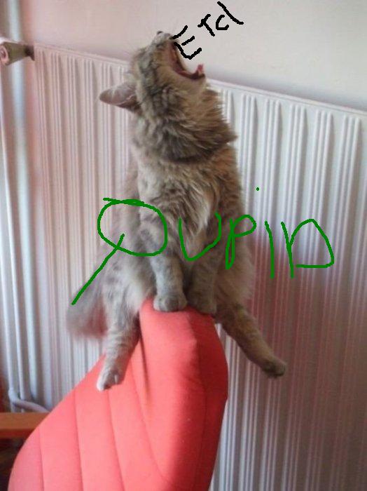 qupiod 2.JPG