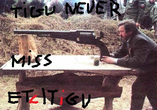 stupid_gun.jpg